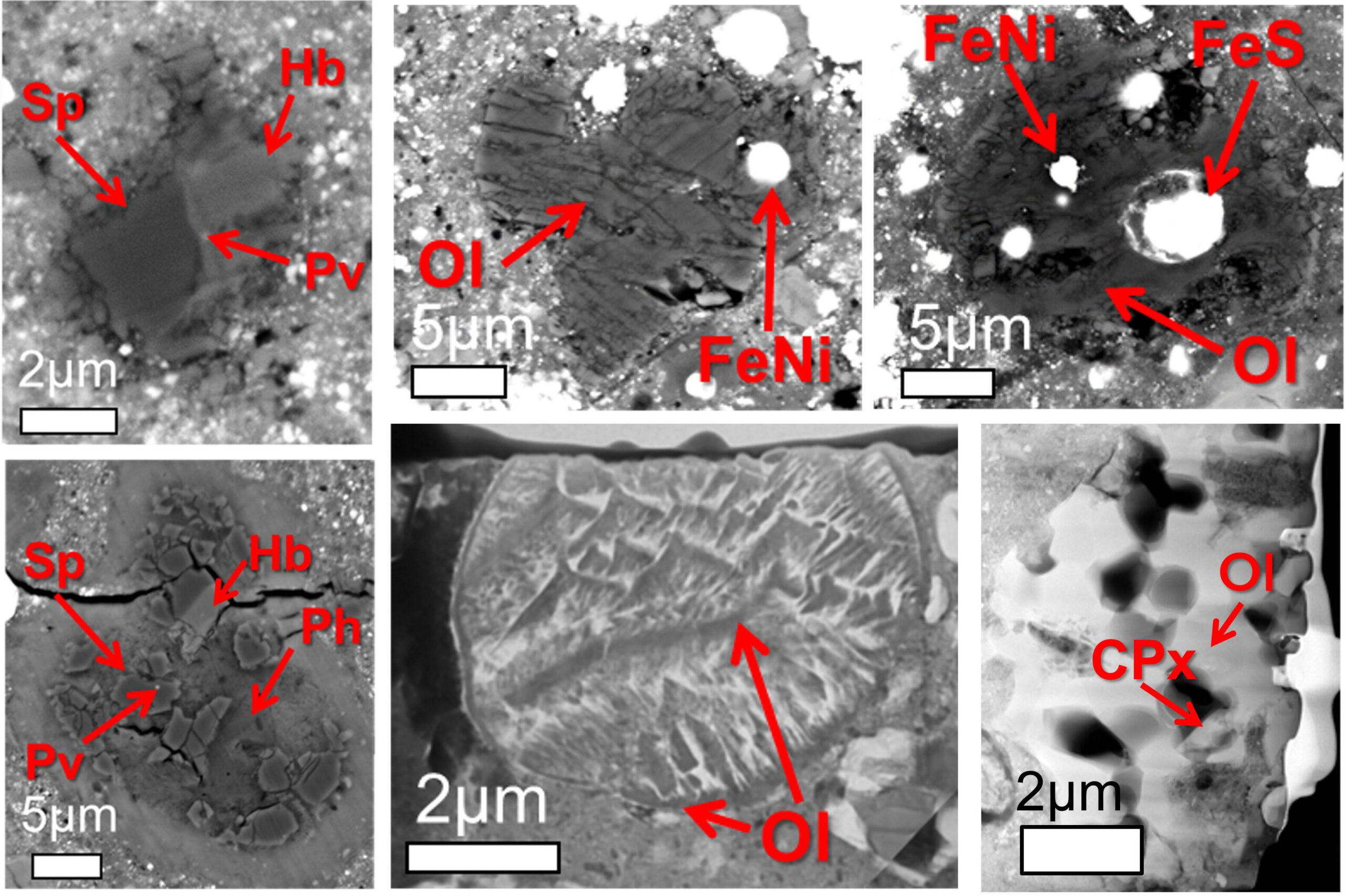 在 Ryugu 樣品中發現的高溫環境（超過 1000°C）中形成的顆粒（所有電子顯微照片）。 (A, B) 富含鈣和鋁的夾雜物，(B-D) 由熔融橄欖石 (Ol)、金屬鐵 (FeNi) 和硫化鐵 (FeS) 形成的球粒，(F) 類似於石頭聚集體的多孔顆粒