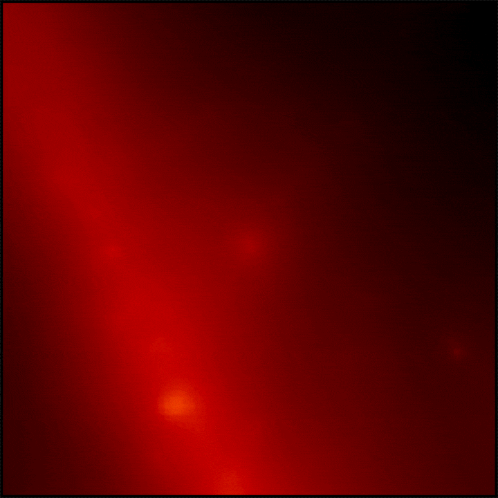 費米伽瑪射線太空望遠鏡拍攝的圖像